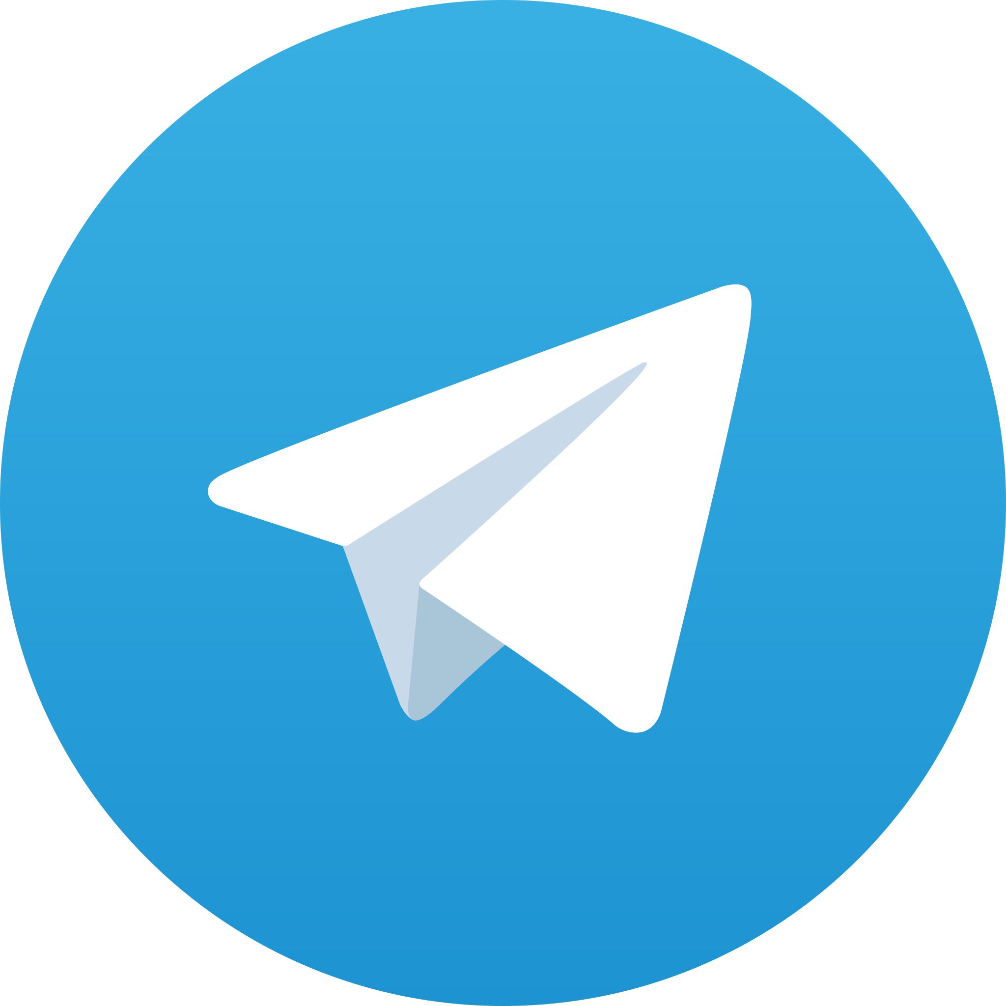 Telegram-logo.webp